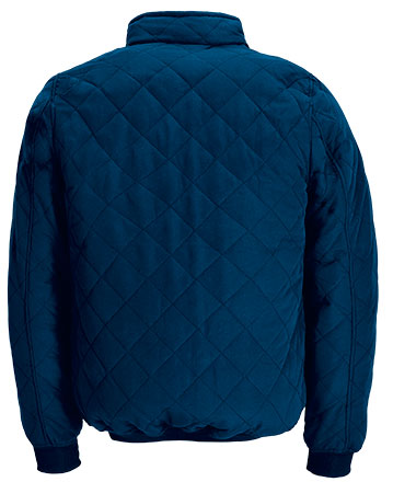 Garment back view