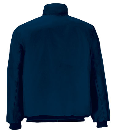 Garment back view