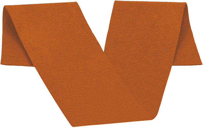 Banda UNIVERSITY naranja fiesta