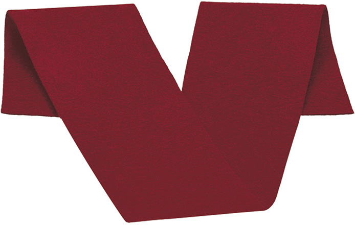 Banda UNIVERSITY rojo loto