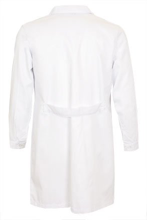 Vista posteriore del capo