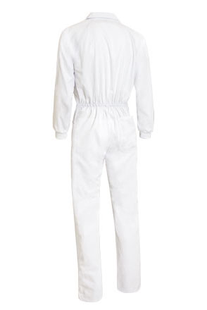 Vista posteriore del capo