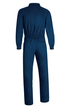 Vista posteriore del capo