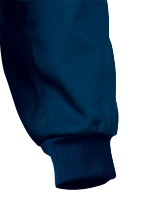 Dettaglio giromanica