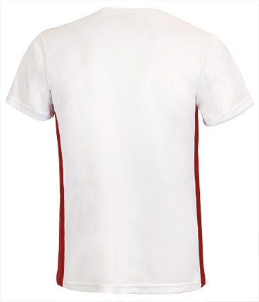 Vista posteriore del capo