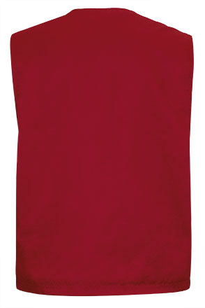 Garment back view