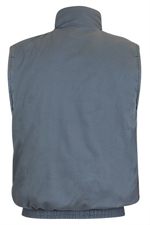 Vista posteriore del capo