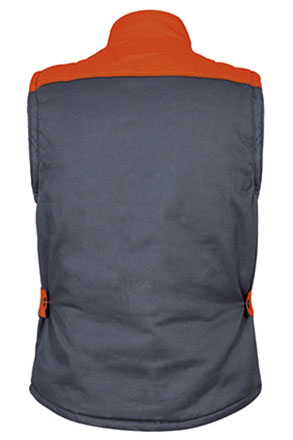 Vista posteriore del capo