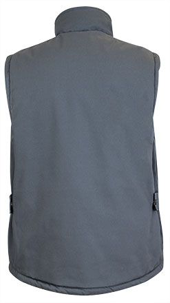 Vista posteriore del capo