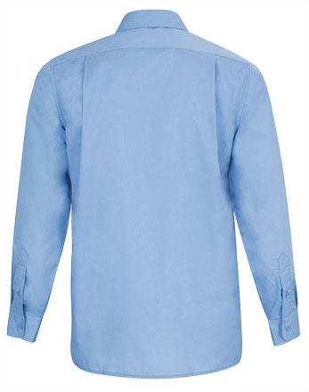 Vista posteriore del capo