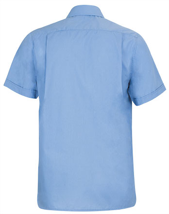 Vista posteriore del capo