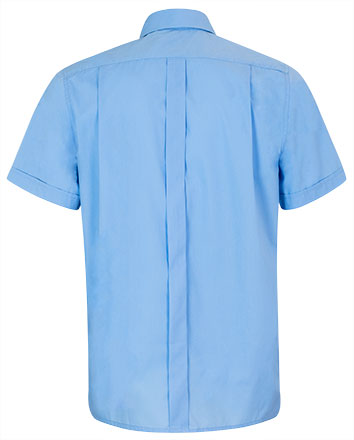 Vista posteriore del capo