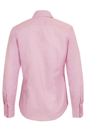 Vista posteriore del capo