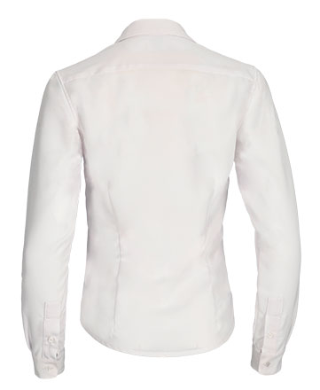 Vista posteriore del capo