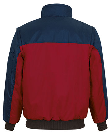 Partea din spate detaliata