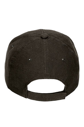 Vista posteriore del capo