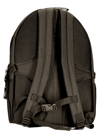 Vista posteriore del capo