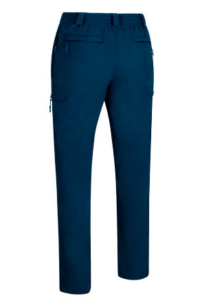 Vista posteriore del capo