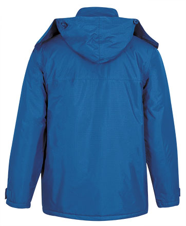 Partea din spate detaliata