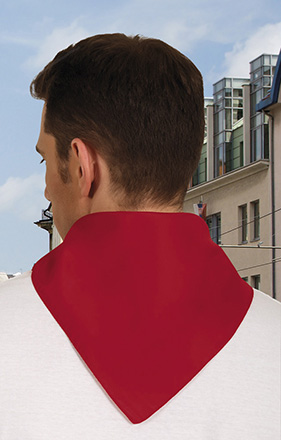  Valento pañuelo cuadrado FIESTA