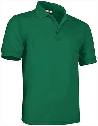 verde kelly