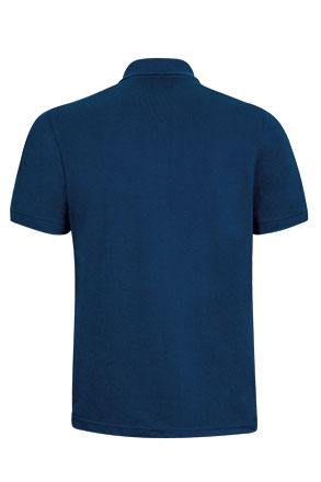 Vista posteriore del capo