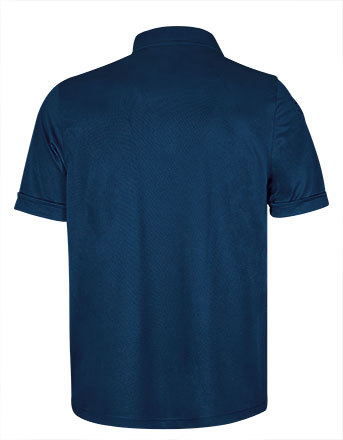 Vista posteriore del capo